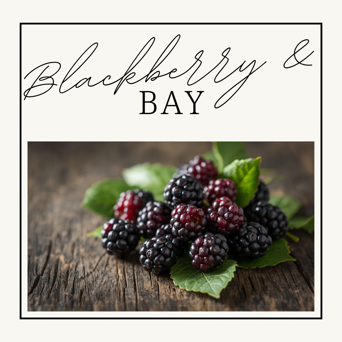 Blackberry & Bay wax melts