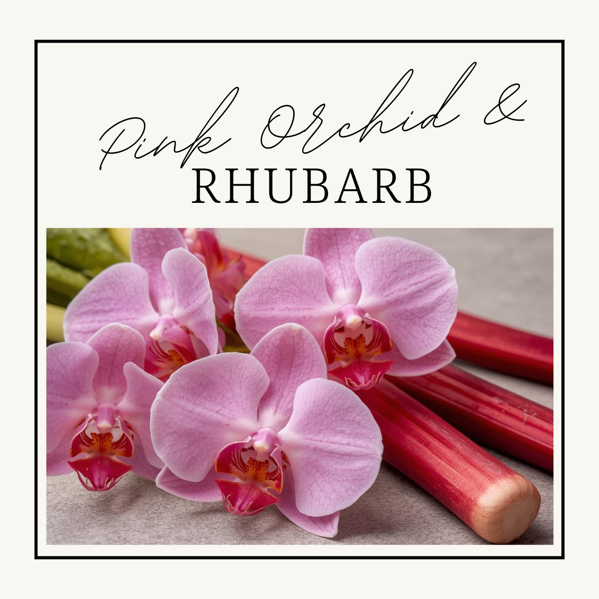 Pink Orchid & Rhubarb Wax Clamshells