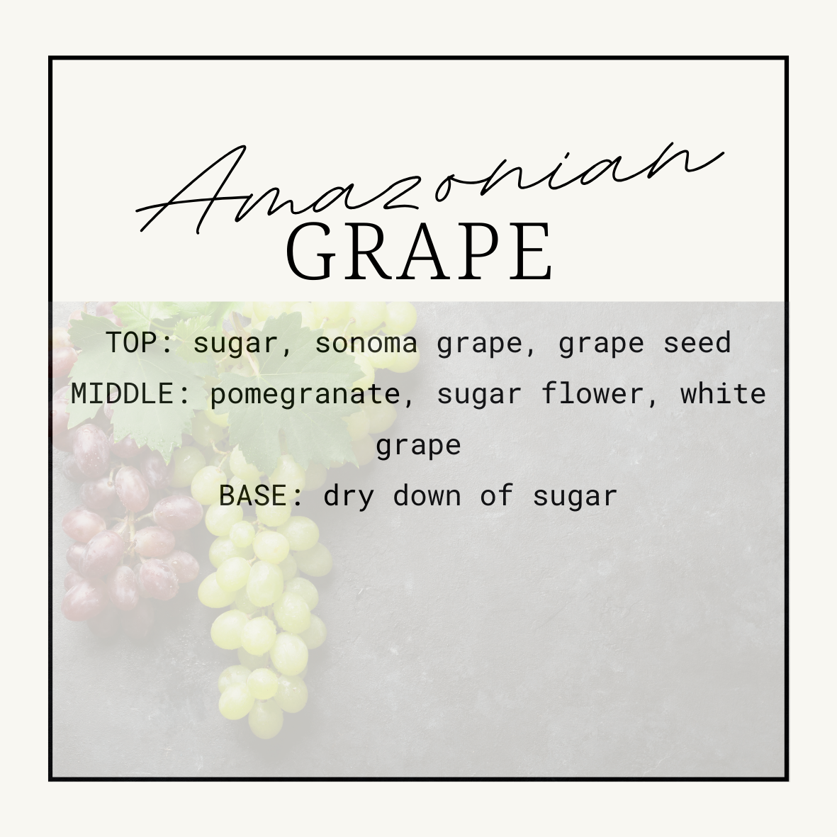Amazonian Grape Squeezy Scent