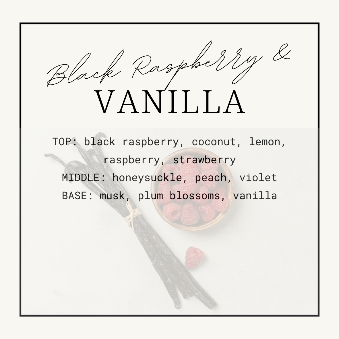 Black Raspberry & Vanilla Squeezy Scent