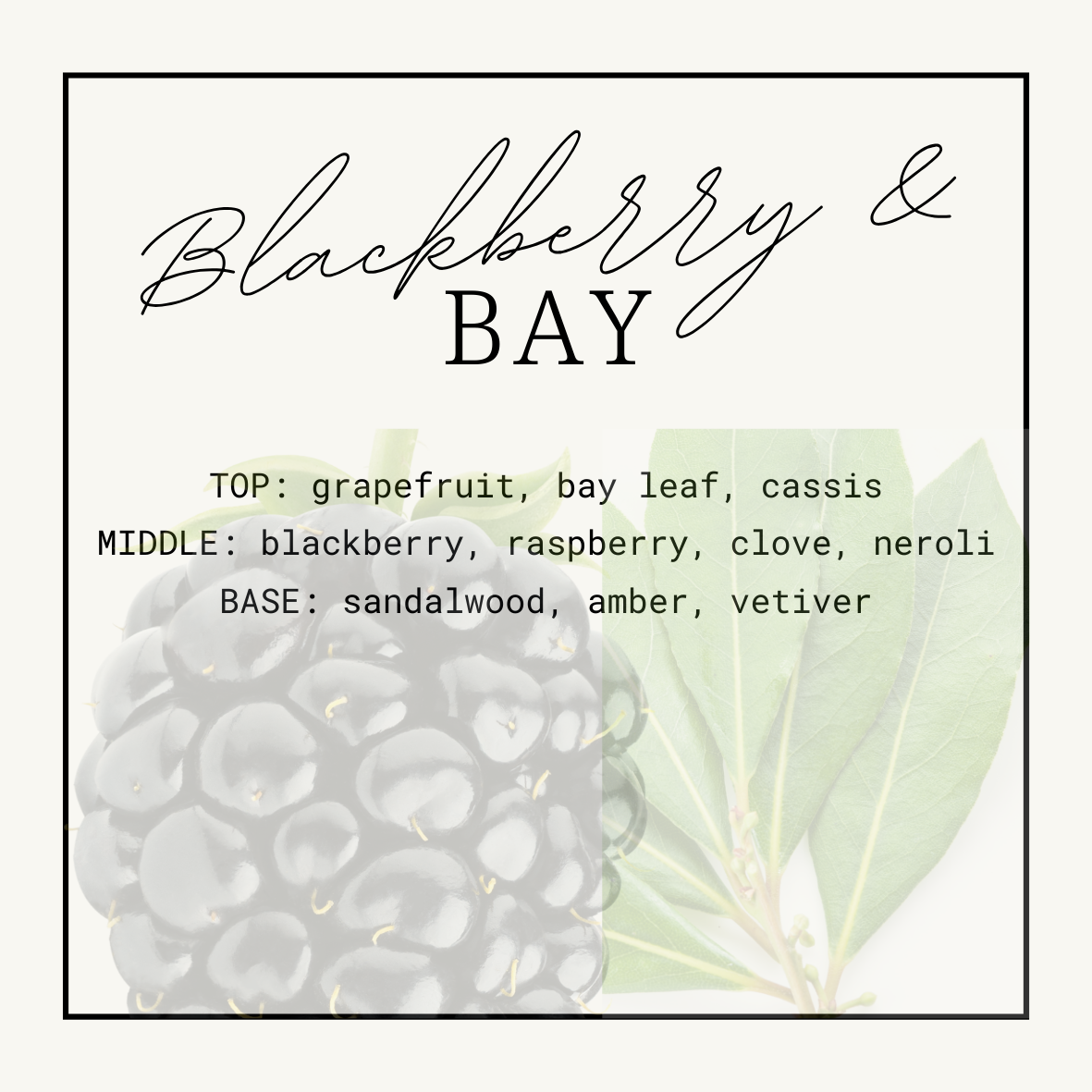 Blackberry & Bay Squeezy Scent