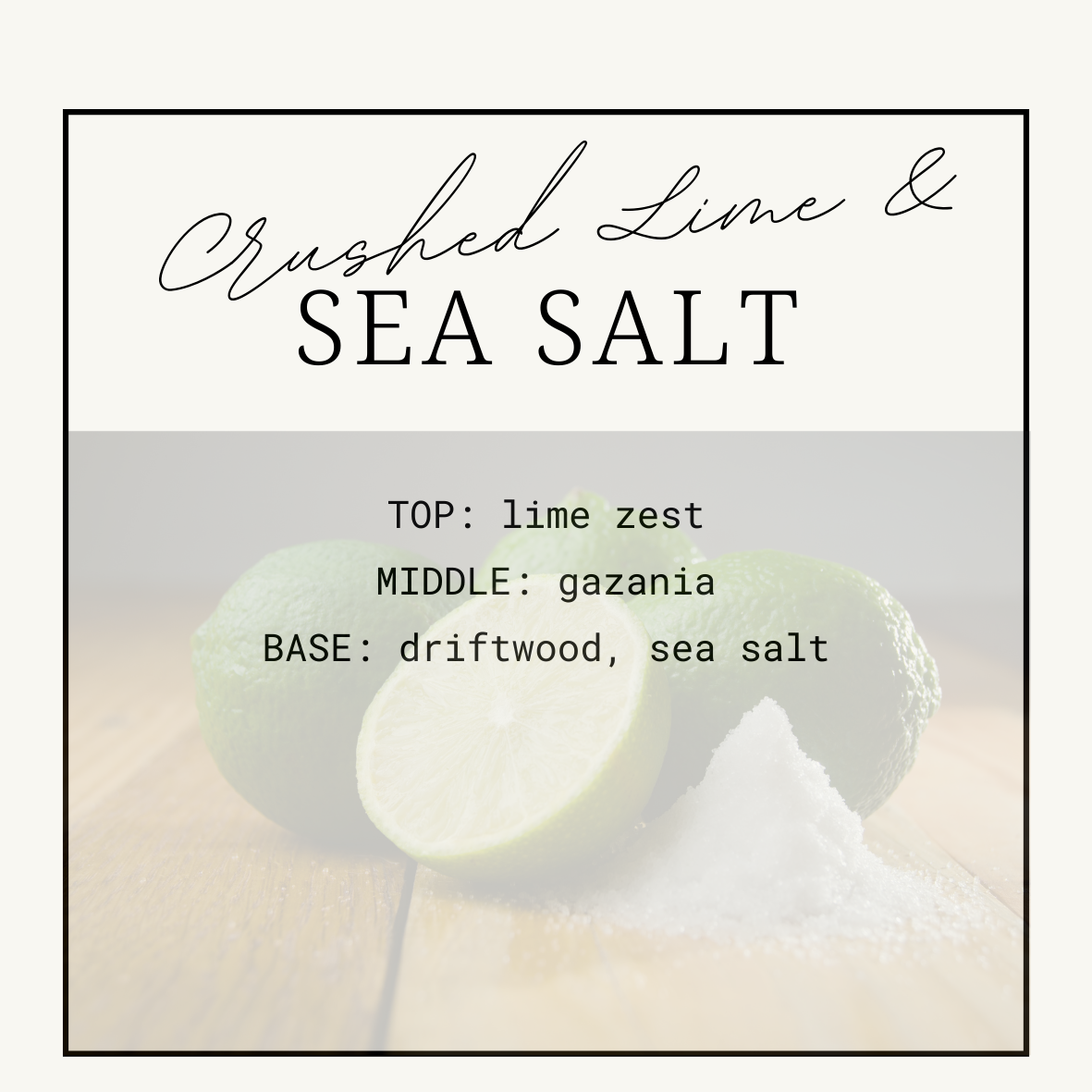 Crushed Lime & Sea Salt Squeezy Scent