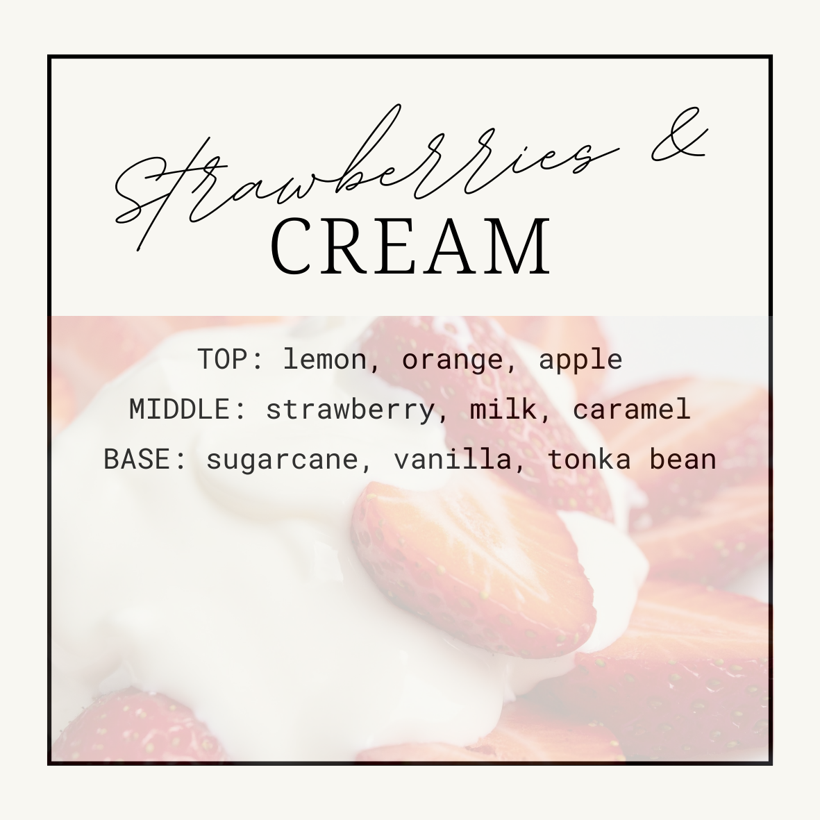 Strawberries & Cream Squeezy Scent