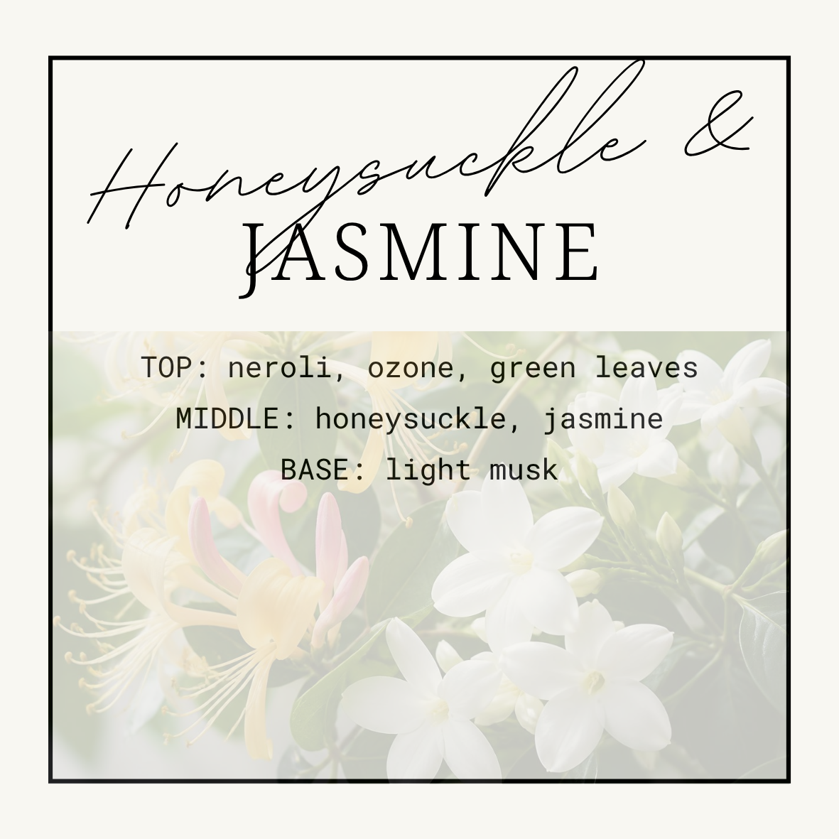 Honeysuckle & Jasmine Squeezy Scent