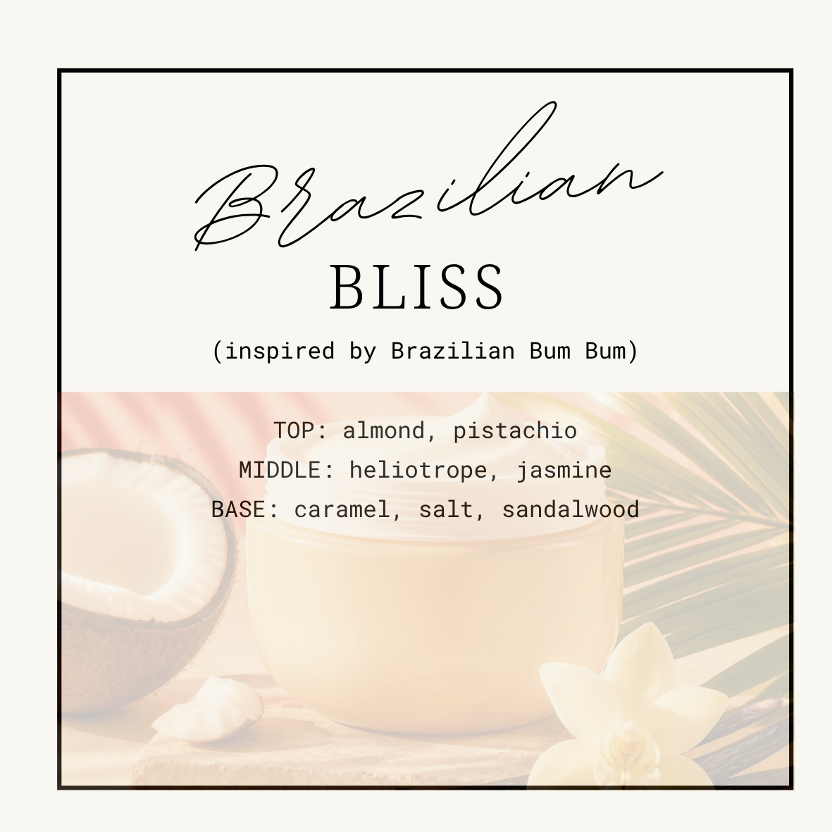 Brazilian Bliss Wax Clamshells (Inspired by Brazilian Crush '62')