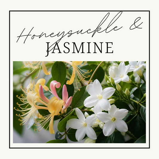 Honeysuckle & Jasmine Wax Clamshells