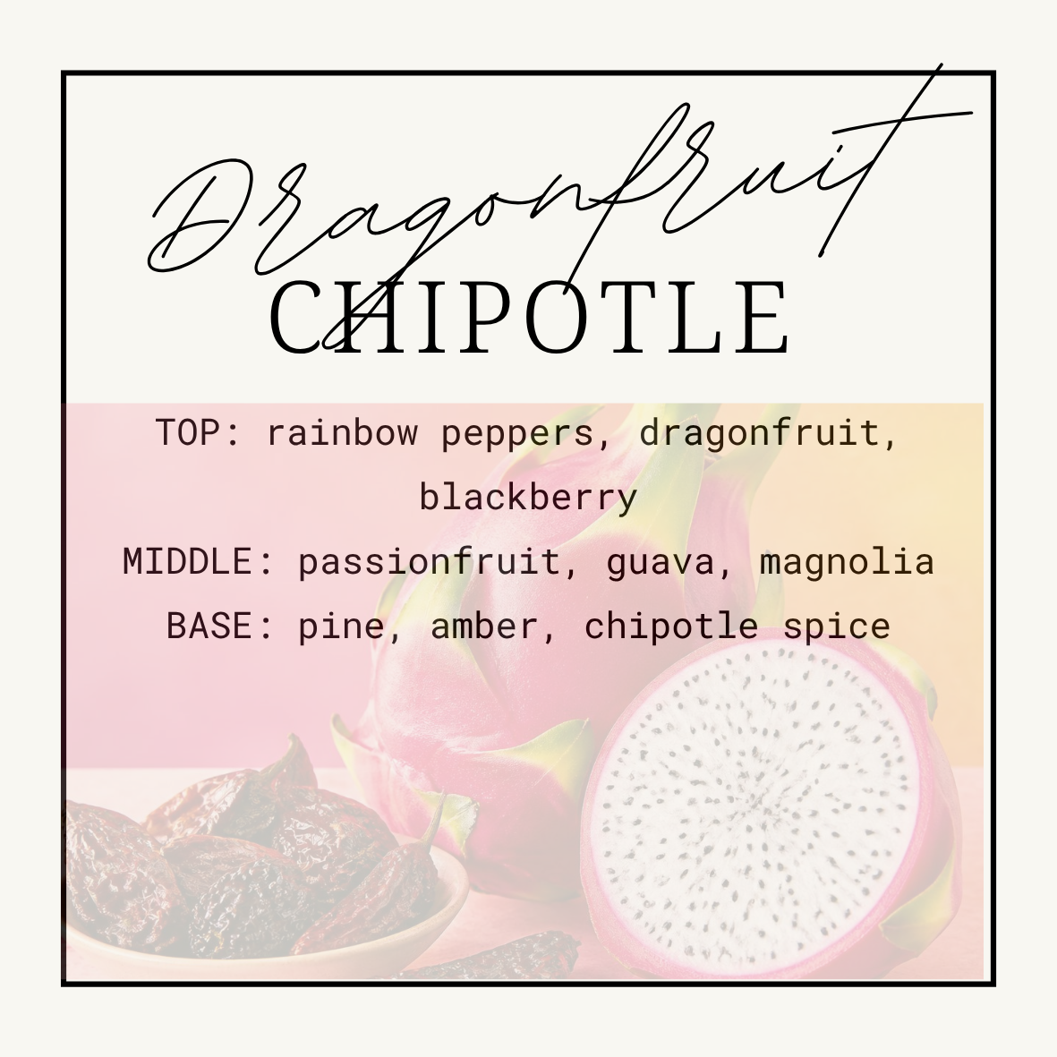 Dragonfruit Chipotle Wax Clamshells