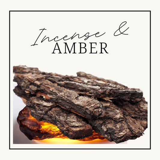 Incense & Amber Wax Melts