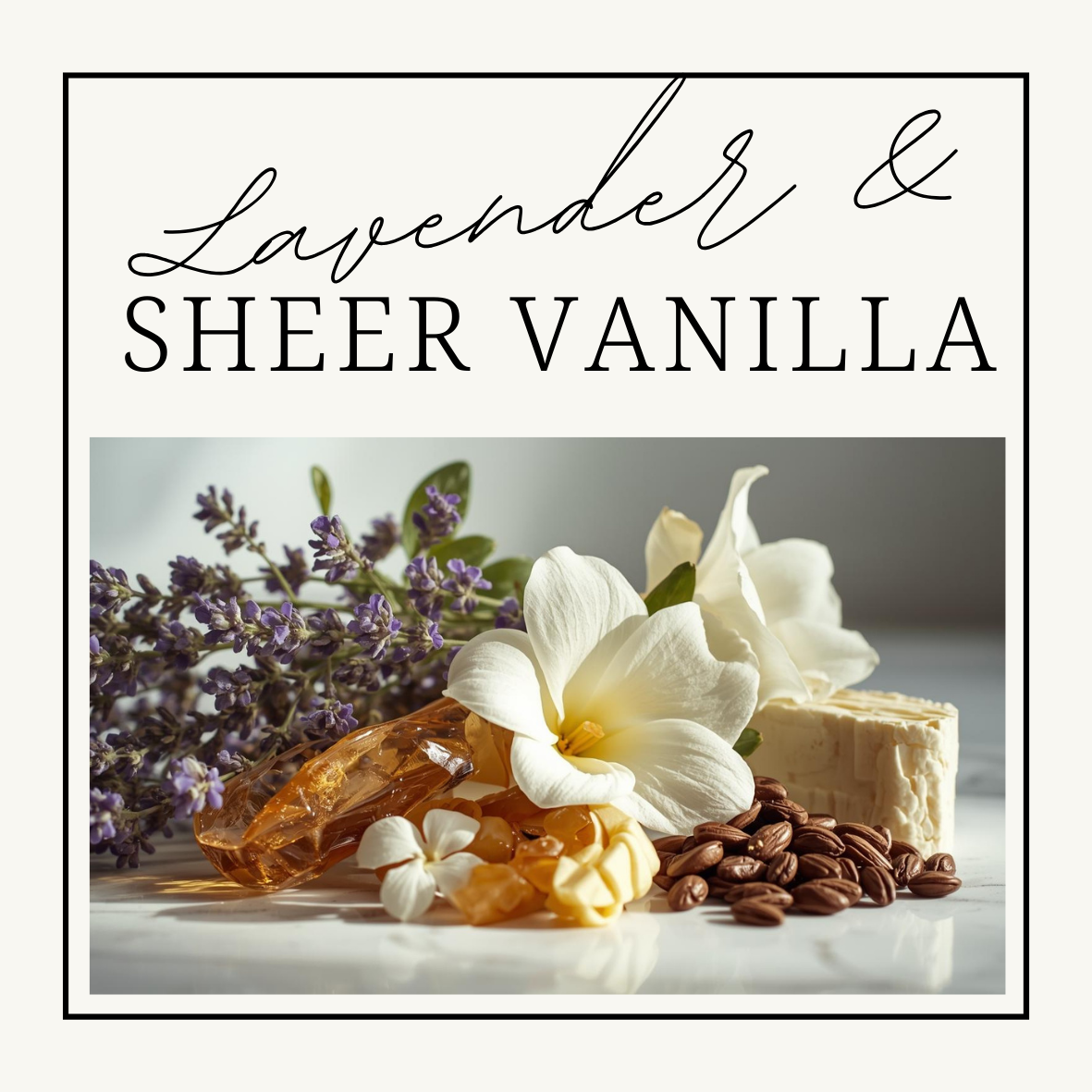 Lavender & Sheer Vanilla Wax Clamshells