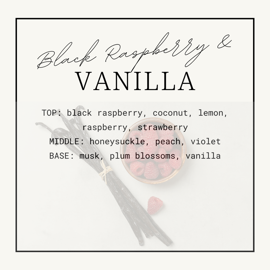 Squeezy Scents - Black Raspberry & Vanilla 100g – Luxe Candle & Beauty